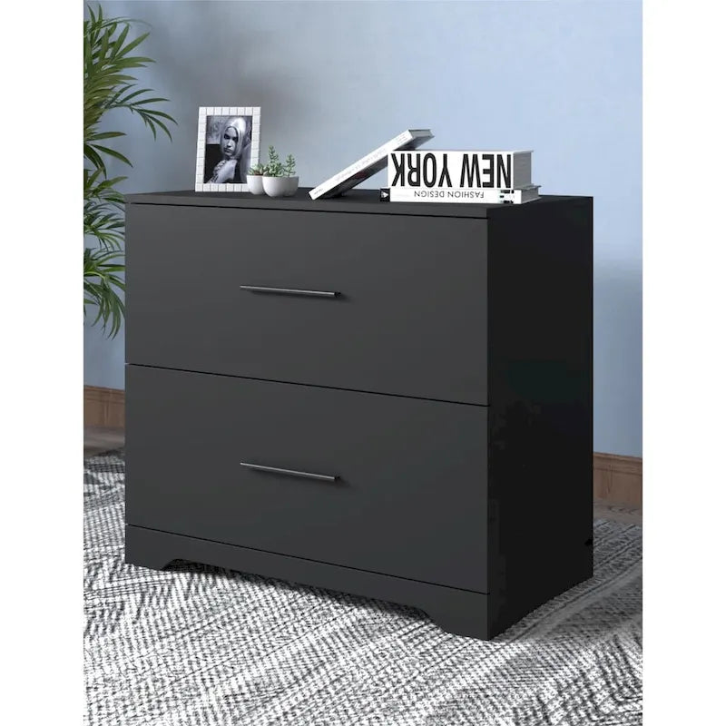 2 -Drawer Lateral Filing Cabinet,Storage Filing Cabinet for Home Office, Black